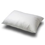 IgorThePillow
