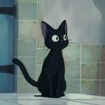 ilovesillycats