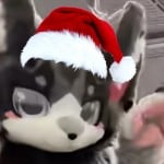 InkReviewInwZaa