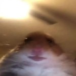 Jakeskibidi