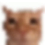 jerhaynfart