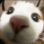 Jnmrtn13