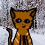JohnnyBear