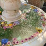 josephinery