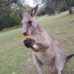 jwhiz27