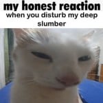 kab1r