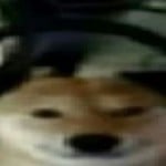kairyu