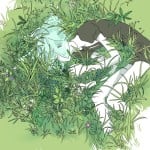 kapu