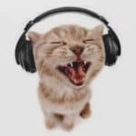 Katrooon