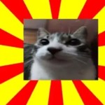 Ketal