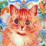 Kitone