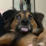 Lalakiller