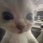 lalalalala_wav