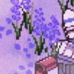 lavenderhearts