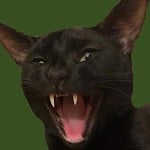 ledanaisme