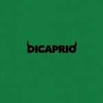 leonardodicapr