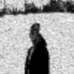 lynn