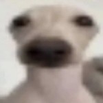 LilBigPers0n