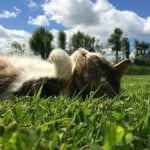 lildude123