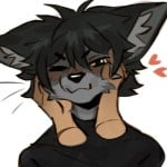 kittycoma