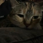 Lizi_Ruggiax