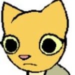 lostcats