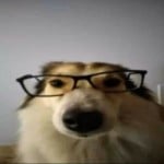 lucas_eleotero