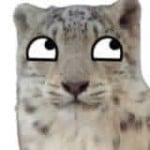LuckLoose