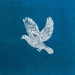 luminousbird