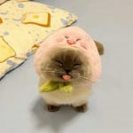 masnapau