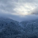 maxsmith_1717