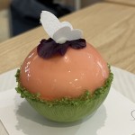 melonmoon