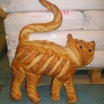 memagi