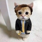MeowGoodman