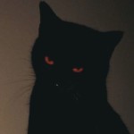 Mikkel_06