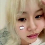minari_mango