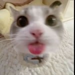 Mixvy