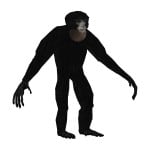 monke513