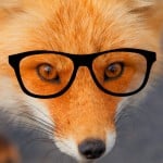 moththemusicfox
