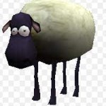 Mr_Lolsheep