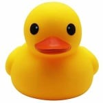 mrquack