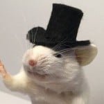 MrRatTat