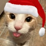 MrZakuu
