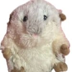 MsMimis