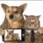 Naffle_Waffle