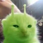 nanibanani64