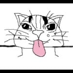 Dandi