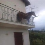 nascence1