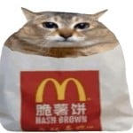 Nekotiniaa
