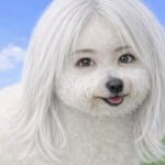nerissauro